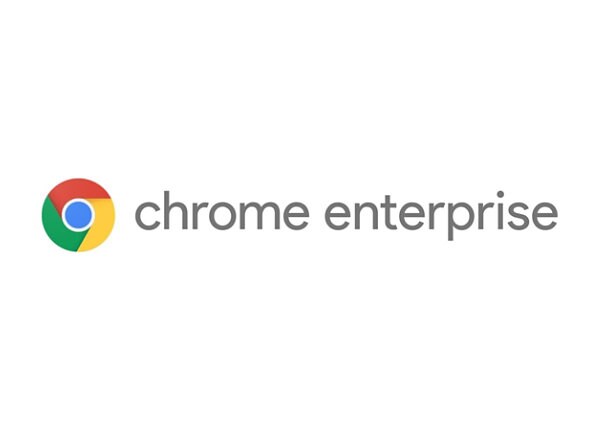 GOOGLE CHROME MANAGEMENT CO TERM 1YR