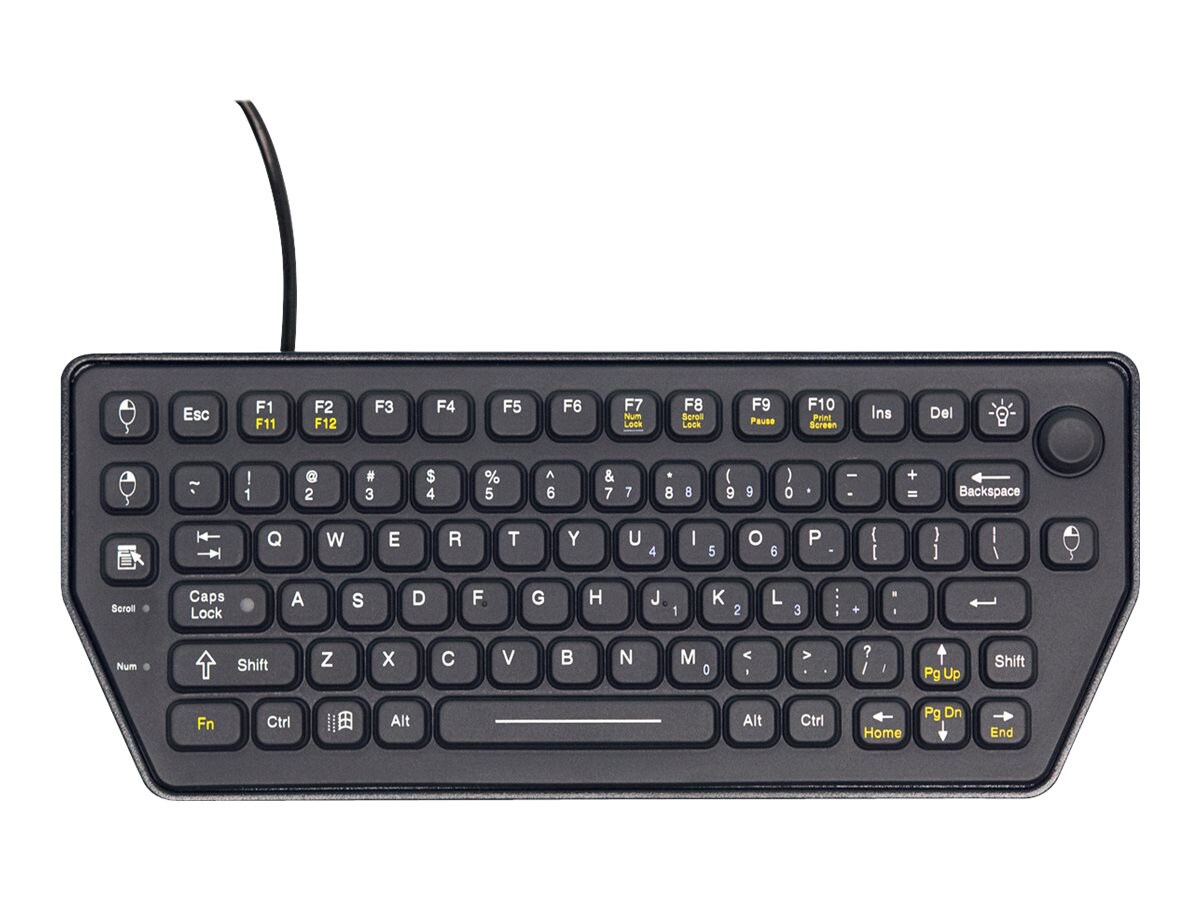 iKey SLK-79-FSR - keyboard - with Force Sensing Resistor Pointing Device