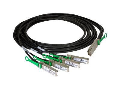 Intel direct attach cable - 10 ft