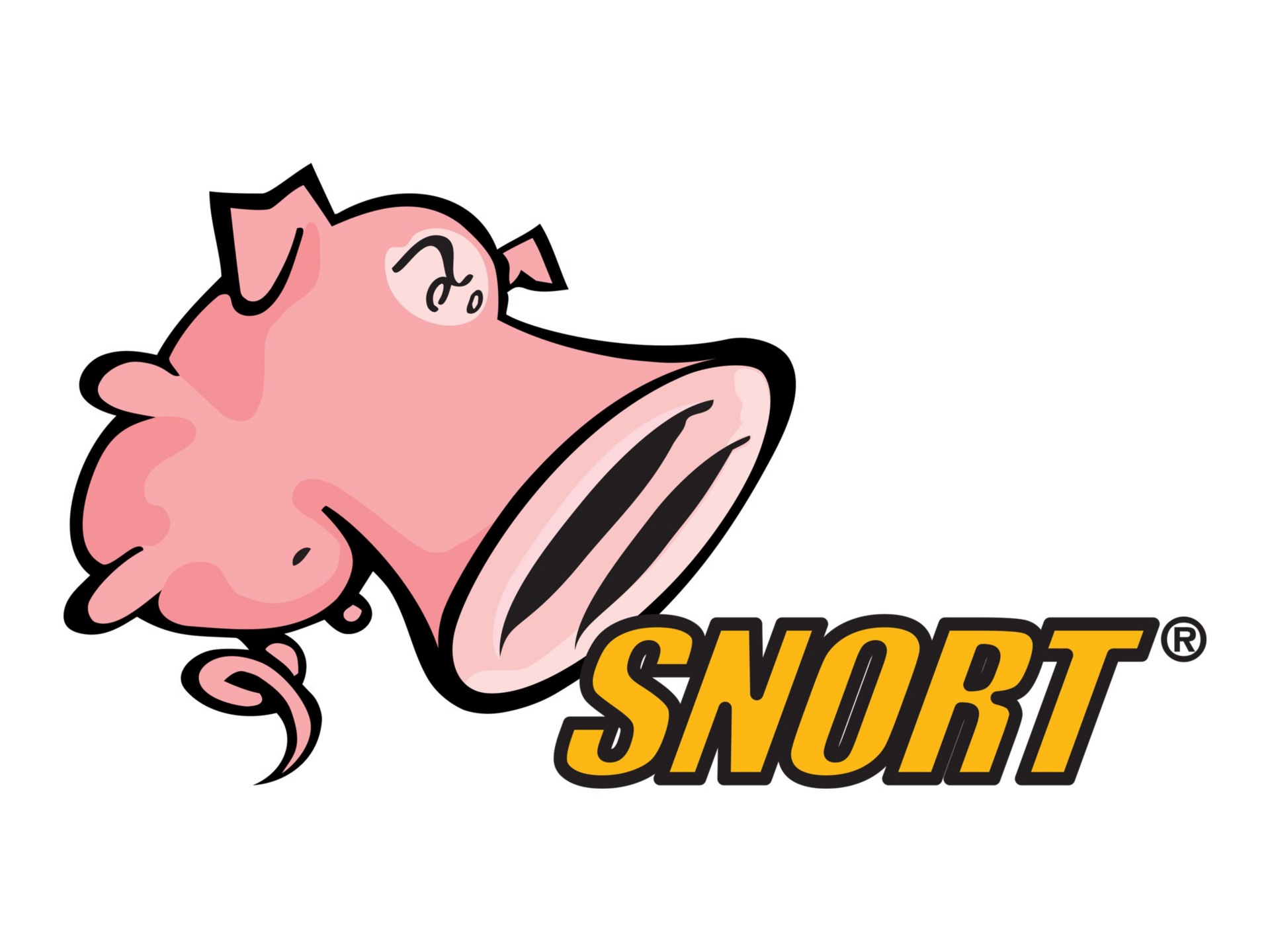 Cisco SNORT Subscriber Rule Set - subscription license (3 years) - 1 licens