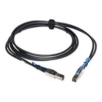 Axiom SAS external cable - 5 m