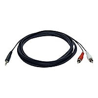 Tripp Lite 12ft 3.5mm Mini Stereo to Two RCA Audio Y Splitter Adapter Cable