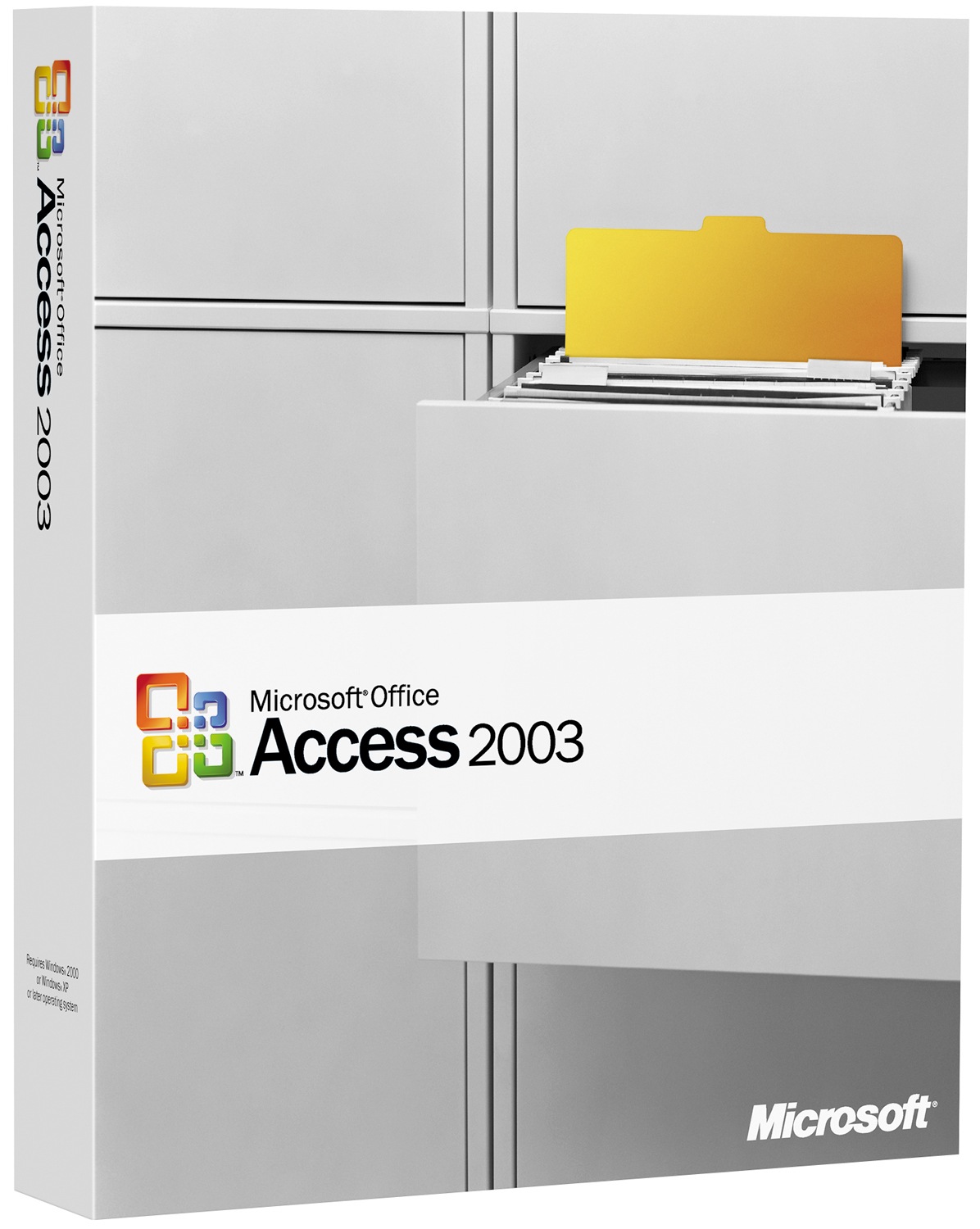 Microsoft Office Access 2003 - complete package