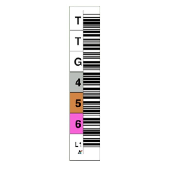 EDP Tri-optic LTO Ultrium Gen 1 Data Cartridge TTG Label