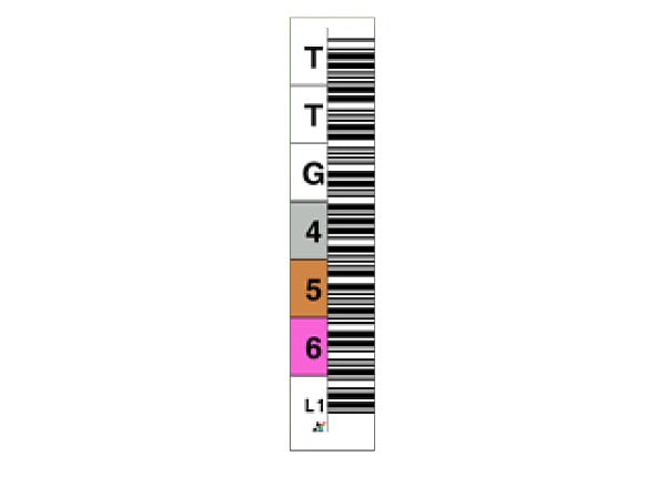 EDP Tri-optic LTO Ultrium Gen 1 Data Cartridge TTG Label