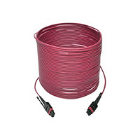 Tripp Lite 10M MTP MPO Multimode Patch Cable 12 Fiber 40/100Gb OM4 50CMP