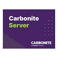 Carbonite Server Hybrid Bundle - subscription license (1 year) - 5 TB capac