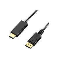 Axiom 10' DisplayPort Male to HDMI Male Adapter Cable