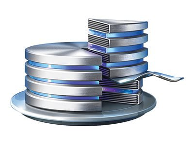 Acronis Disk Director Server (v. 12.5) - Technician License Subscription (1