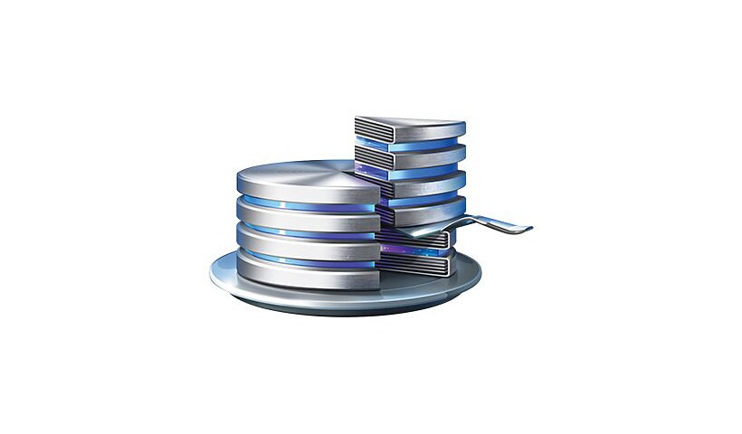 Acronis Disk Director Server (v. 12,5) - Technician License Subscription (1