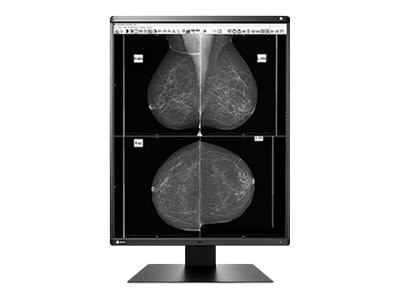 EIZO RadiForce GX560 - LED monitor - 5MP - grayscale - 21.3"