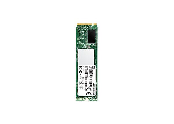 Patronise tvilling mave Transcend 220S - SSD - 256 GB - PCIe 3.0 x4 (NVMe) - TS256GMTE220S - Solid  State Drives - CDW.com