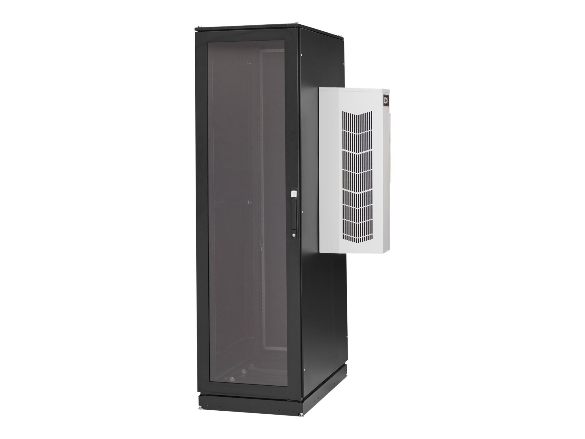 Black Box ClimateCab NEMA 12 Server Cabinet with M6 Rails - rack - 42U