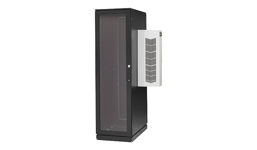Black Box ClimateCab NEMA 12 Server Cabinet with M6 Rails - rack - 42U