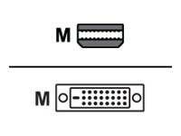 Proline - video adapter cable - Mini DisplayPort to DVI-D - 6 ft