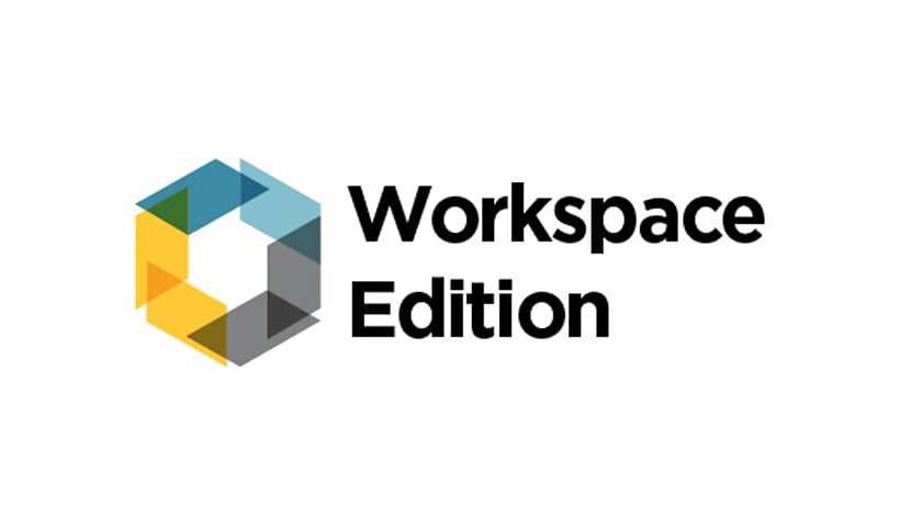 IGEL Workspace Edition for IGEL OS 11 - license - 1 license