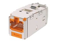 Panduit MINI-COM TX-6A 10Gig - modular insert