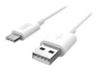 Molex USB-C cable - 3.3 ft