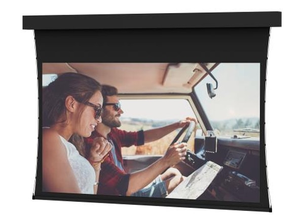 DA-LITE PROFESSIONAL TNSD 240IN DM