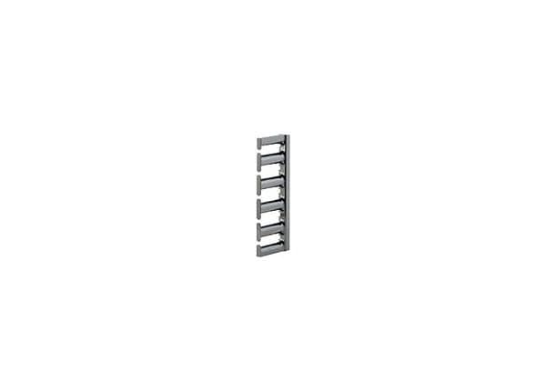 Panduit Bend Radius rack cable management kit - 5U