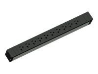 Main image 1 for Legrand Rack PDU, Basic, 1U, 12A, 120V, (10) 5-20R, 5-15P Cord - power distribution unit - 1400 VA