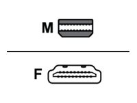 Belkin video adapter - DisplayPort / HDMI