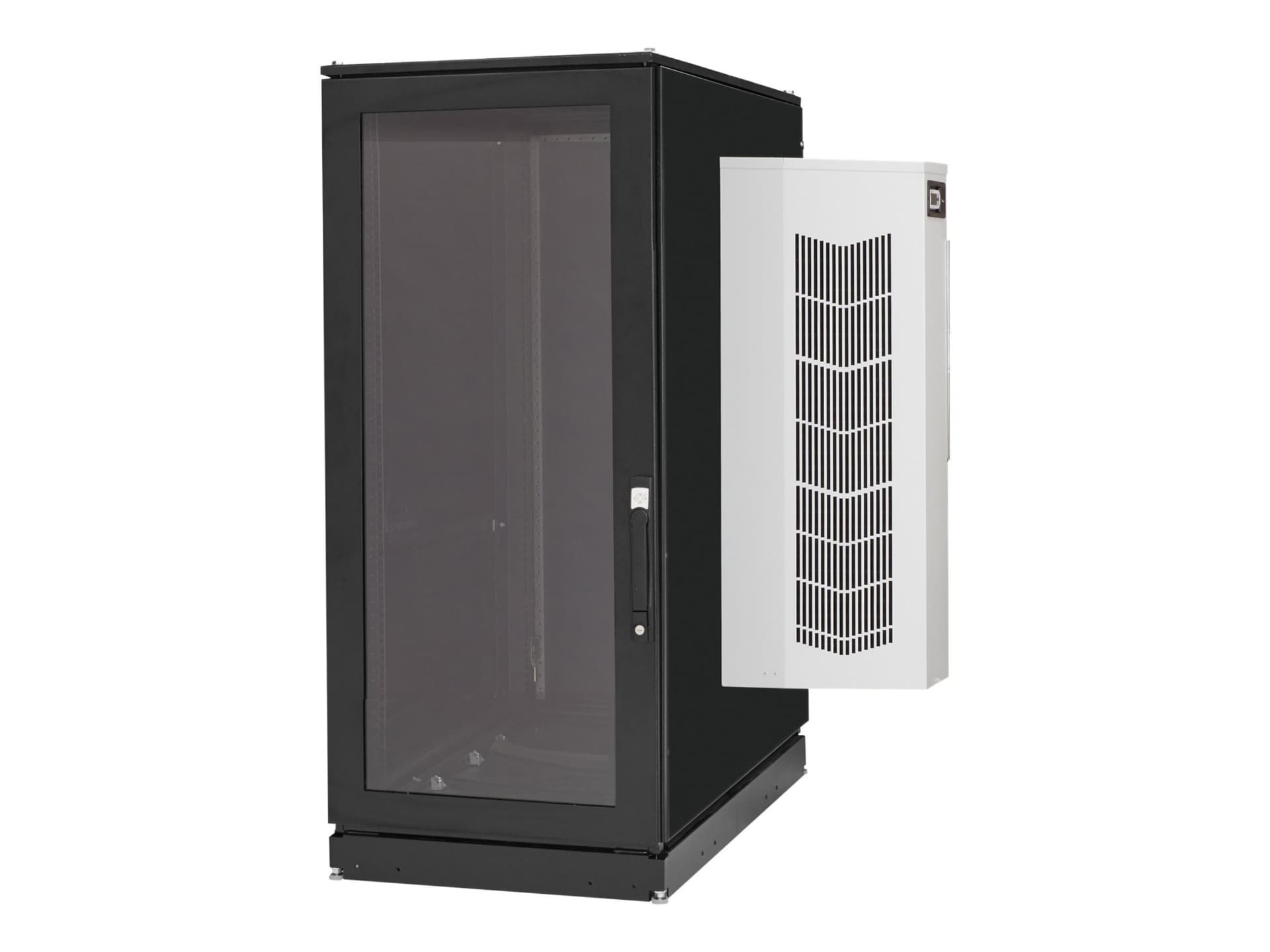 Black Box ClimateCab NEMA 12 Server Cabinet with M6 Rails - rack - 24U