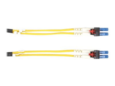 Black Box LockPORT Key Locking - patch cable - 2.99 m