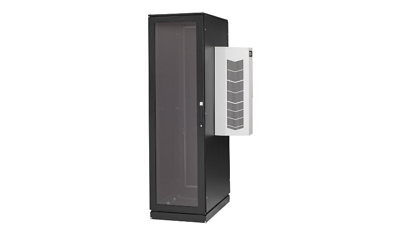 Black Box ClimateCab NEMA 12 Server Cabinet with Tapped Rails - rack - 42U