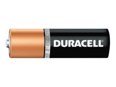 Duracell CopperTop MN1500 battery - 36 x AA type - alkaline