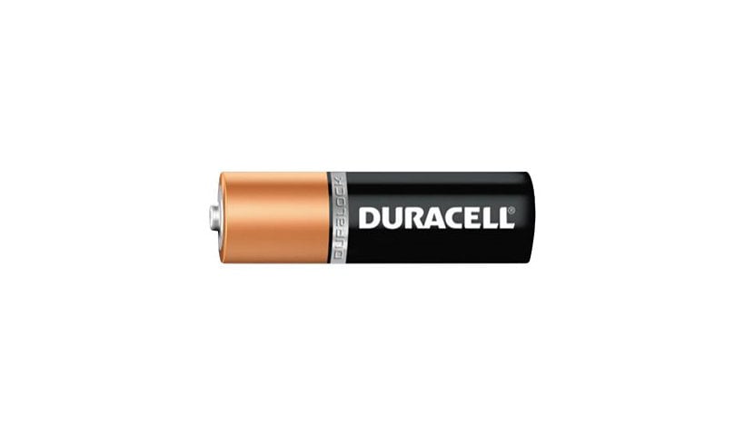 Duracell CopperTop MN1500 battery - 36 x AA type - alkaline