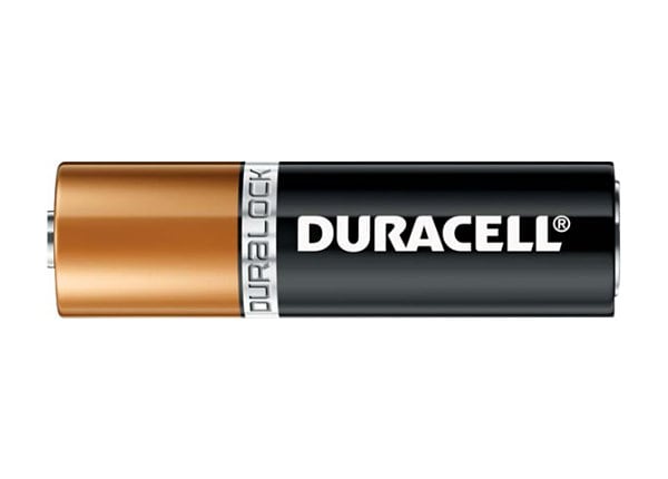 Duracell CopperTop MN2400 battery - 24 x AAA - alkaline - DUR02401 - Office  Basics 