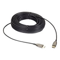 Black Box Active Optical Cable - DisplayPort cable - DisplayPort to Display