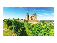 NEC UN492S-TMX4P 49" LED video wall - Full HD