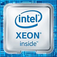Intel Xeon E-2124 / 3.3 GHz processor
