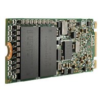 HPE Mixed Use Extended Temperature - SSD - 960 GB - PCIe 3.0 x4 (NVMe)