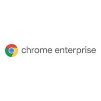 Chrome Enterprise Upgrade - subscription (1 year) - 1 license