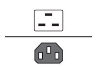 Raritan SecureLock power cable - 3 ft