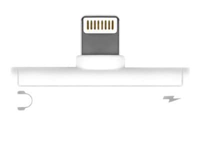 Lightning audio and online charge adapter