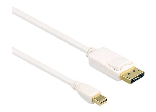 AXIOM 6FT MINI DP/DP M/M CABLE