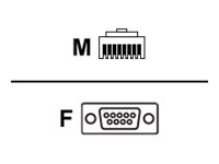 RAD - serial cable - RJ-45 to DB-9 - 6 ft