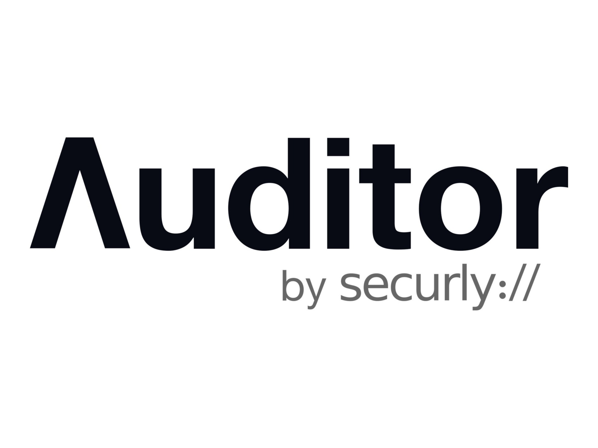 SECURLY AUDITOR 24 3Y
