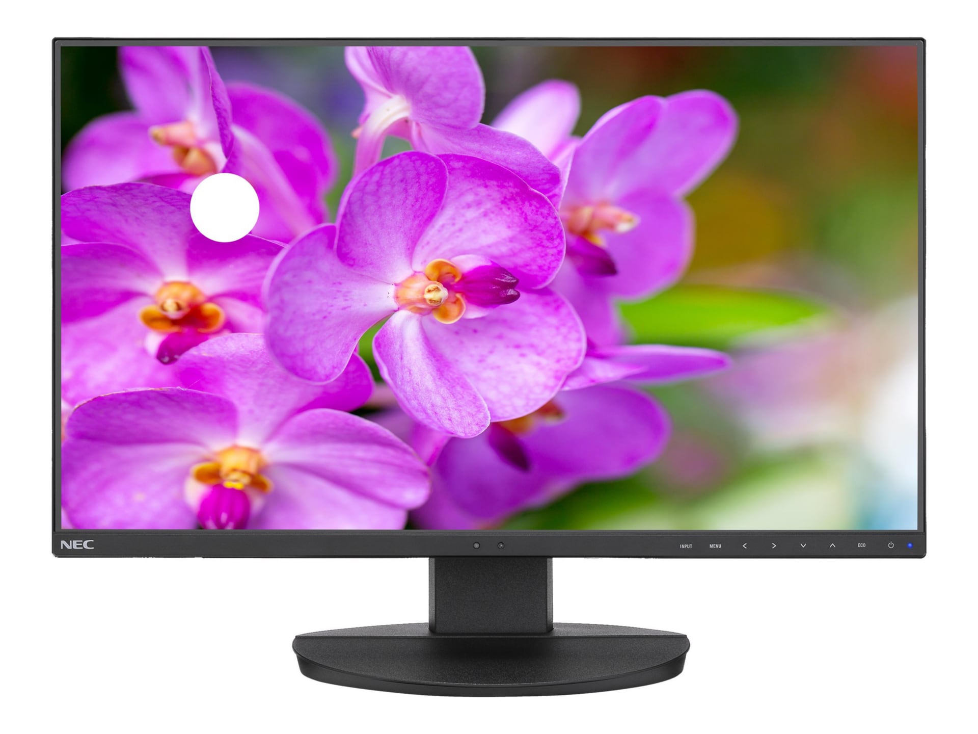 NEC MultiSync EA241F-BK - LED monitor - Full HD (1080p) - 24 - EA241F-BK -  Computer Monitors - CDW.com