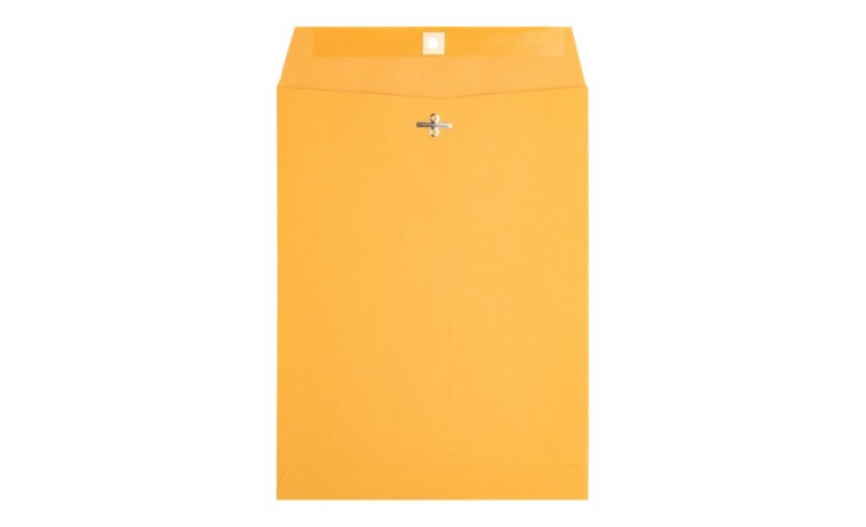 Business Source - envelope - 9.02 in x 12 in - open end - brown