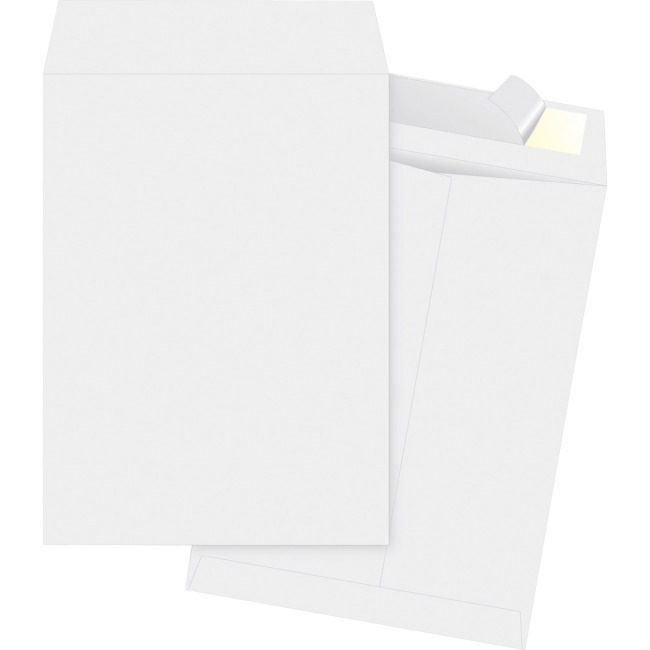 Business Source - envelope - catalog - 9.02 in x 12 in - open end - white,