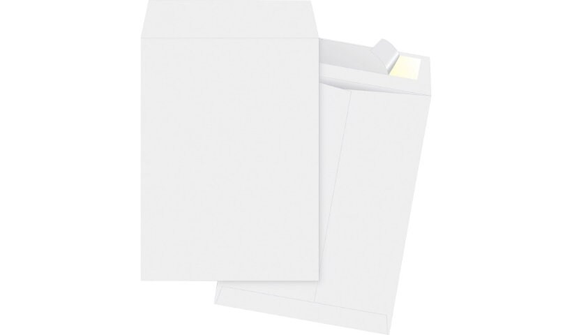 Business Source - envelope - catalog - 9.02 in x 12 in - open end - white,
