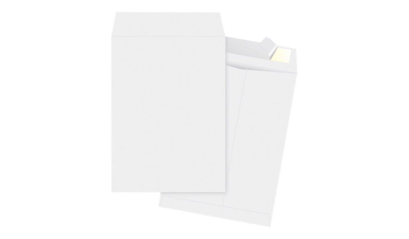 Business Source - envelope - catalog - 10 in x 13 in - open end - white, pl