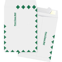Business Source DuPont Tyvek - envelope - catalog - 9.02 in x 12 in - open
