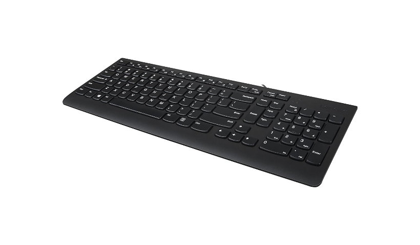 Lenovo 300 - clavier - US Périphérique d'entrée