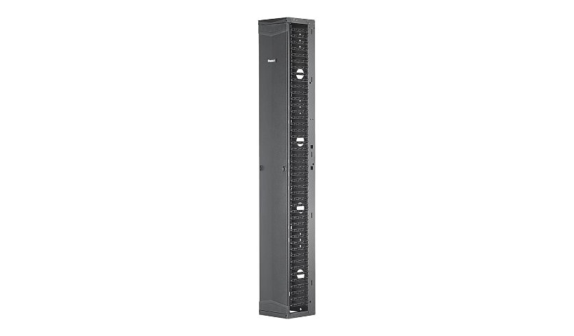 Panduit PatchRunner 2 Single Sided Manager - rack cable management panel (vertical) - 45U